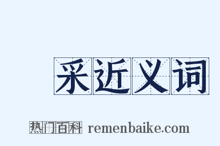 風采近义词是什么意思的图片